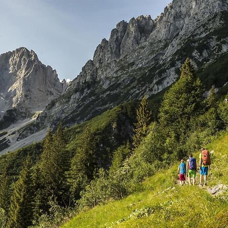 Trattenbachhof Scheffau am Wilden Kaiser Extérieur photo