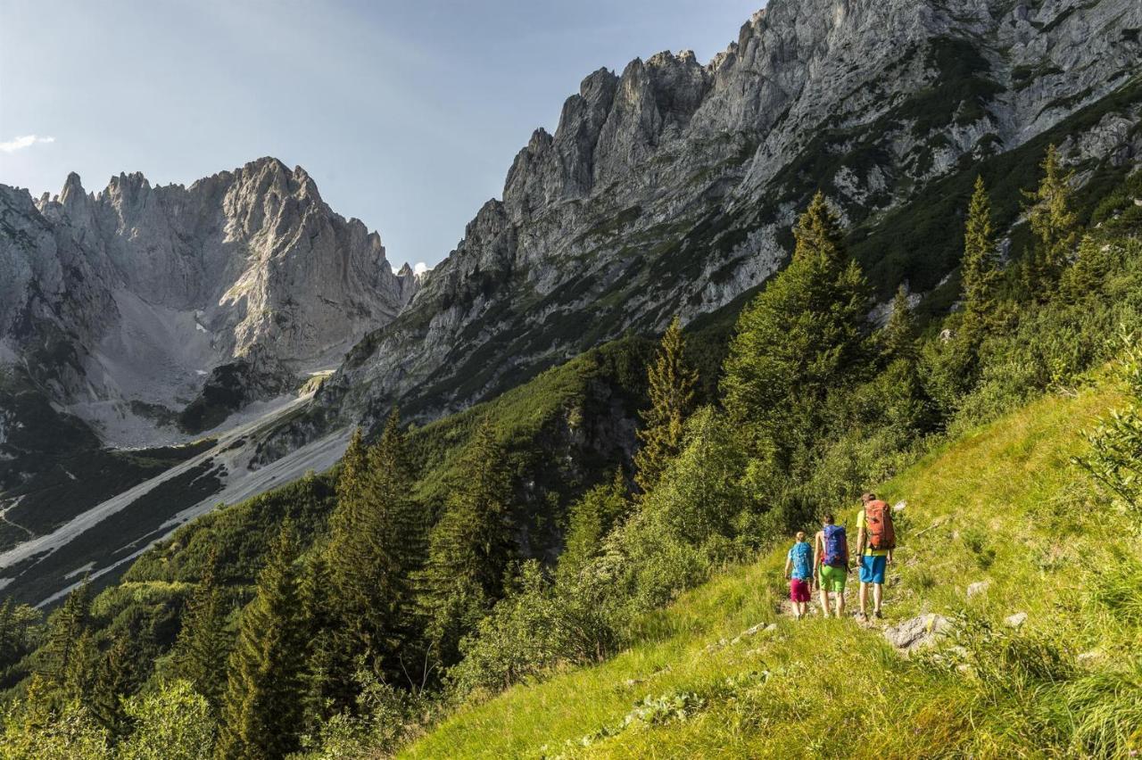 Trattenbachhof Scheffau am Wilden Kaiser Extérieur photo