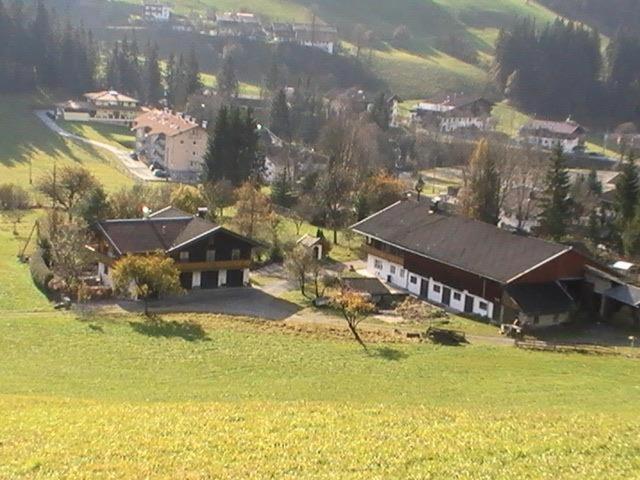 Trattenbachhof Scheffau am Wilden Kaiser Extérieur photo